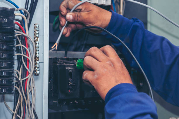 Best Home Electrical Repair  in Elk Mound, WI